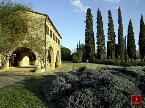 Weingut Col d'Orcia
