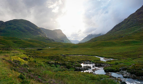 Weine aus Schottland