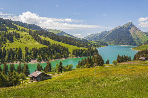 Weine aus Österreich
