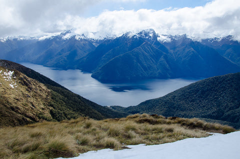 Weine aus Neuseeland