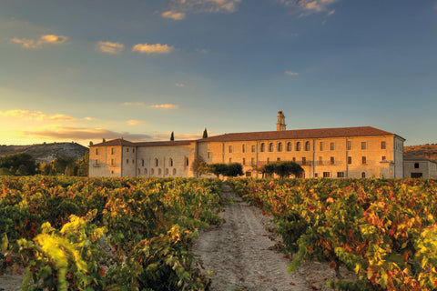 Weingut Abadía Retuerta