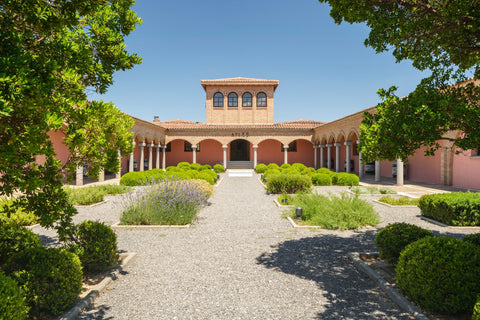 Weingut Bodega Pago de Ayles